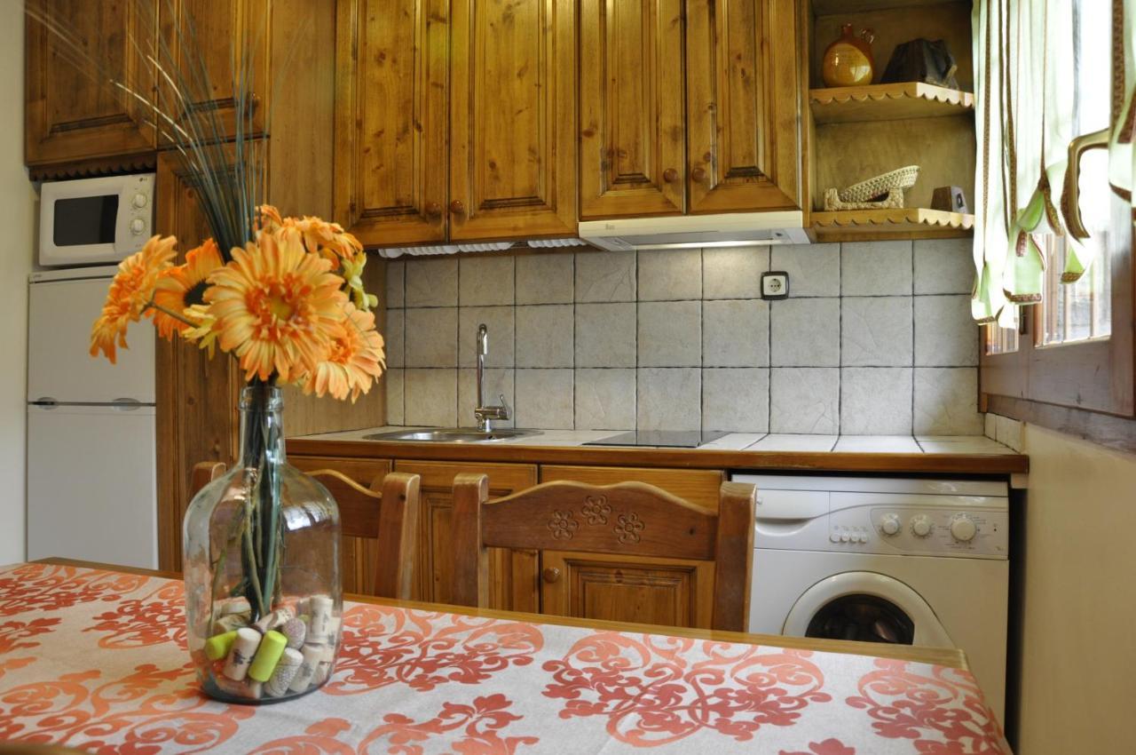 Apartamentos Los Pirineos - Atencion Personal Biescas  Exteriér fotografie